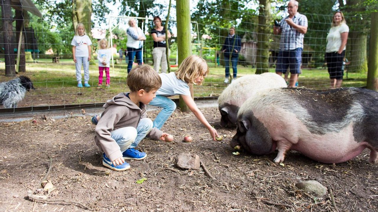 kinder-beim-schweine-fttern kinder-beim-schweine-fttern